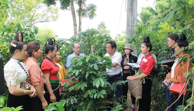 Kỳ 2: Giải bài toán nâng cao năng lực quản lý, tổ chức sản xuất