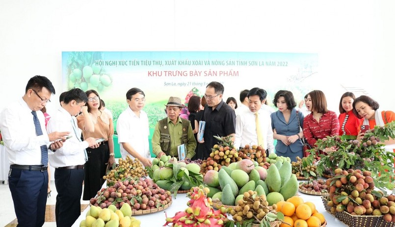 Kỳ 2: Giải bài toán nâng cao năng lực quản lý, tổ chức sản xuất