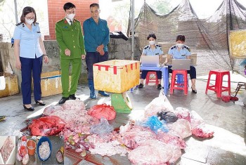 Phát hiện 1,3 tấn lòng lợn không rõ nguồn gốc xuất xứ tại Hà Nam