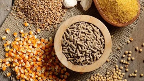 11 tháng đầu năm, xuất khẩu thức ăn gia súc tăng gần 7%