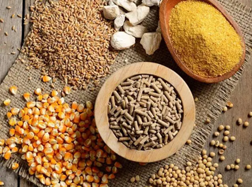 11 tháng đầu năm, xuất khẩu thức ăn gia súc tăng gần 7%