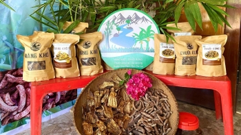 Gia Lai: Ra mắt sản phẩm “Măng khô – Chuối rừng” của xã Ia Kreng