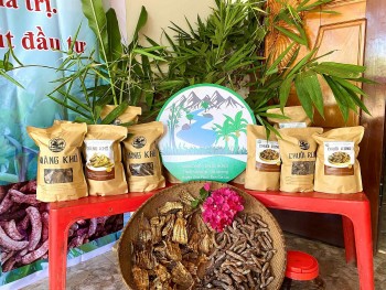 Gia Lai: Ra mắt sản phẩm “Măng khô – Chuối rừng” của xã Ia Kreng