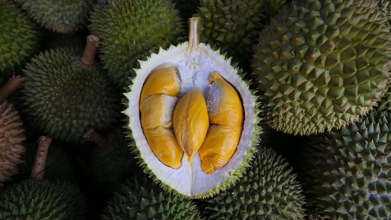 Sầu riêng Musang King.