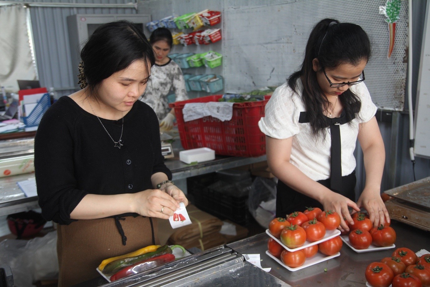 Những sản phẩm nông sản sạch của Công ty TNHH Nông nghiệp S-Eco được đóng gói, đưa ra thị trường tiêu thụ.