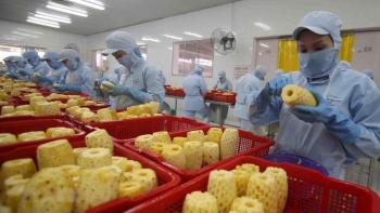 Xuất khẩu rau quả năm 2023 thu về gần 5,6 tỷ USD