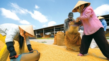 Năm 2023, tăng trưởng GDP toàn ngành nông nghiệp ước đạt 3,83%