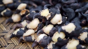 Củ ấu: Nguyên liệu nấu ăn, vị thuốc trị bệnh