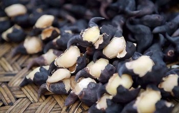 Củ ấu: Nguyên liệu nấu ăn, vị thuốc trị bệnh