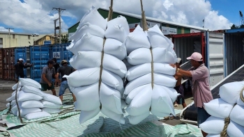 Năm 2023, xuất khẩu nông sản vượt mốc 53 tỷ USD