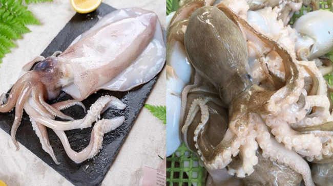 Ngành thủy sản có tốc độ hồi phục đáng ghi nhận