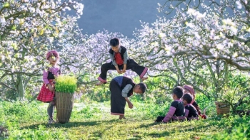 Loạt điểm đến đẹp "quên lối về" ở miền Bắc cho dịp nghỉ Tết Dương lịch 2024