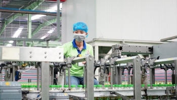 Tăng giá trị xuất khẩu từ kinh doanh bền vững