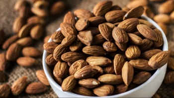 Hạt bàng - Món quà sức khỏe từ thiên nhiên