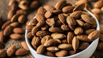 Hạt bàng - Món quà sức khỏe từ thiên nhiên