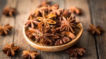 Đại hồi - Gia vị quen thuộc, dược liệu quý