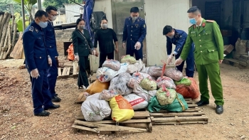 Thái Nguyên: Buộc tiêu hủy hơn 1 tấn bì lợn ôi thiu