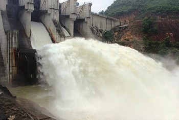 Lâm Đồng: Xử phạt Công ty Cổ phần thủy điện Đắk Mê 180 triệu đồng