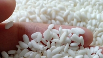 Gạo nếp - Thức ăn bổ dưỡng, nhưng cần lưu ý khi sử dụng