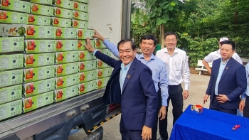 An Giang xuất khẩu 6 tấn xoài tượng da xanh sang Úc, Hoa Kỳ