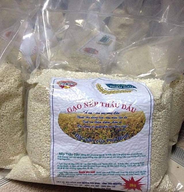 Ưu điểm của gạo nếp Thầu dầu là hạt gạo to, trắng, mẩy.