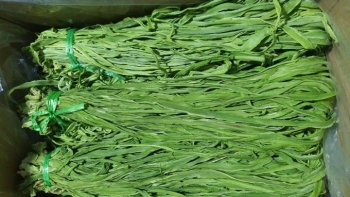 Bia Tết giảm giá vẫn ế ẩm, loại rau trông như nắm cỏ được bán nửa triệu đồng/kg
