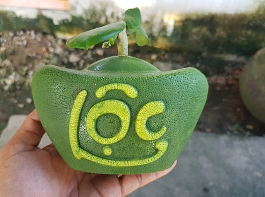 Bưởi thỏi vàng được nhiều khách ưa chuộng. Bưởi thỏi vàng được nhiều khách ưa chuộng.