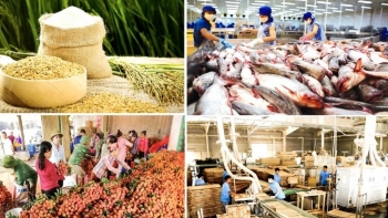 Hơn 97% mẫu nông lâm thủy sản đạt yêu cầu an toàn thực phẩm