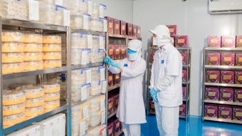 Xuất khẩu lô tổ yến sào chính ngạch đầu tiên sang thị trường Trung Quốc