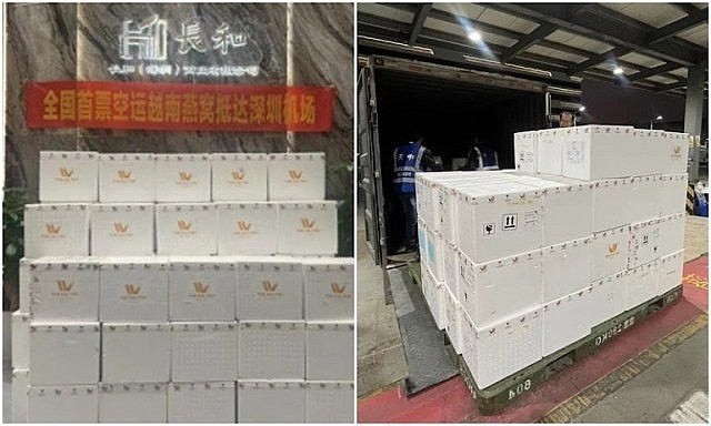 100% sản phẩm tổ yến sào chất lượng cao của Công ty TNHH MTV Thương mại Hải Yến Nha Trang được thông quan và giao đến tay đối tác thuận lợi. 100% sản phẩm tổ yến sào chất lượng cao của Công ty TNHH MTV Thương mại Hải Yến Nha Trang được thông quan và giao đến tay đối tác thuận lợi.