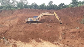 Lâm Đồng: Xử phạt một doanh nghiệp gần 200 triệu đồng