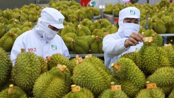 Cần đơn vị đầu mối xử lý thông tin cho xuất khẩu nông sản