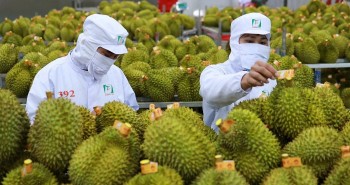 Cần đơn vị đầu mối xử lý thông tin cho xuất khẩu nông sản