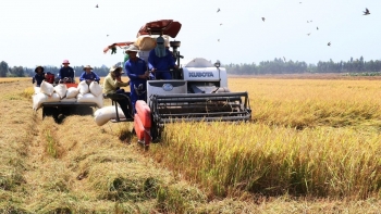 Nông nghiệp đặt mục tiêu tăng trưởng từ 3,2-4%