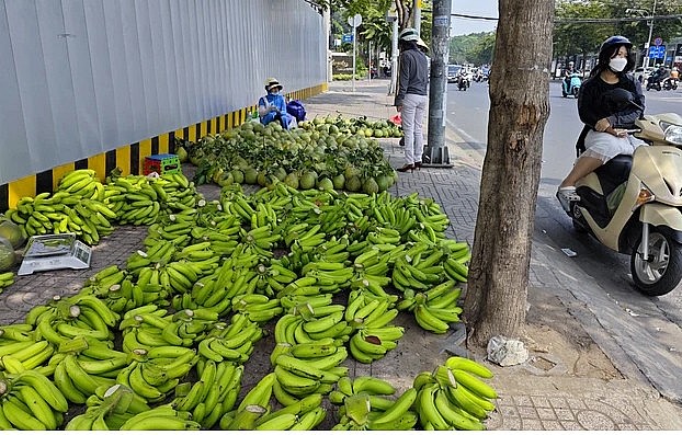 Chuối xuất khẩu được bán vỉa hè tại TP HCM.