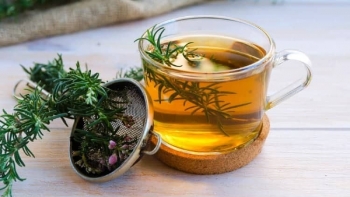 Loại cây ai cũng nên có trong nhà, vừa lọc không khí lại chữa được bệnh