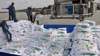 Xuất khẩu phân bón giảm mạnh về khối lượng, kim ngạch