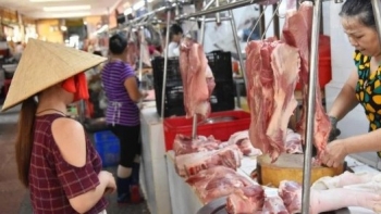 Heo nhập lậu ồ ạt vào Việt Nam, người chăn nuôi Đồng Nai cầu cứu Thủ tướng