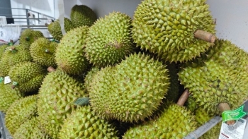 EU đưa sầu riêng và 2 mặt hàng khác của Việt Nam vào diện kiểm soát