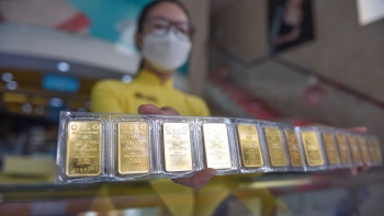 Giá vàng hôm nay 20/1/2024: Vàng trong nước tăng mạnh