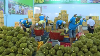 Nửa đầu tháng 1/2024, xuất khẩu rau quả đạt gần nửa tỷ USD