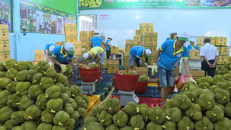 Sầu riêng tiếp tục có nhiều triển vọng tốt trong 2024.