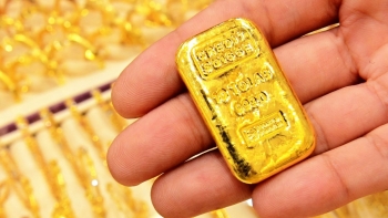 Giá vàng hôm nay 22/1/2024: Vàng trong nước chững lại