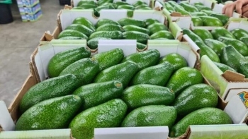 Thêm nhiều sản phẩm nông nhiệp Việt Nam có cơ hội xuất khẩu sang Trung Quốc