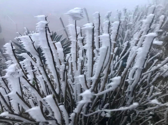 đỉnh Mẫu Sơn (Lạng Sơn) đã phủ đầy băng giá đỉnh Mẫu Sơn (Lạng Sơn) đã phủ đầy băng giá