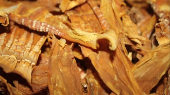 Chế biến măng khô như thế nào cho an toàn?