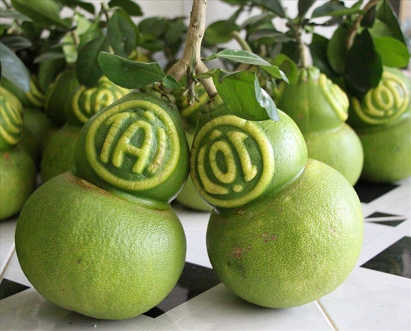 Những loại trái cây độc lạ, đẹp mắt cho mâm ngũ quả ngày Tết