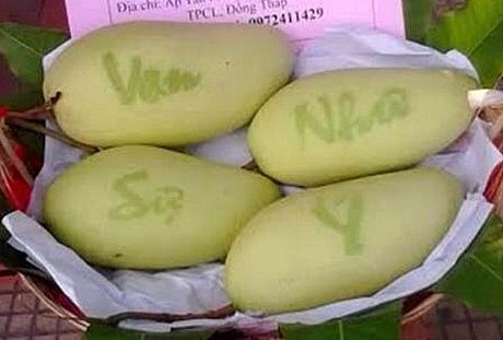 Những loại trái cây độc lạ, đẹp mắt cho mâm ngũ quả ngày Tết