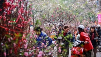 Việt Nam lọt top 5 điểm đến hàng đầu châu Á dịp Tết Nguyên đán 2024