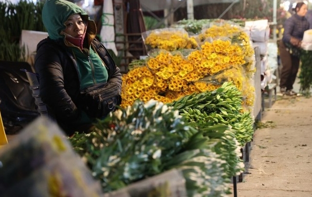  cảnh đìu hiu, ảm đạm tại chợ hoa Quảng An.